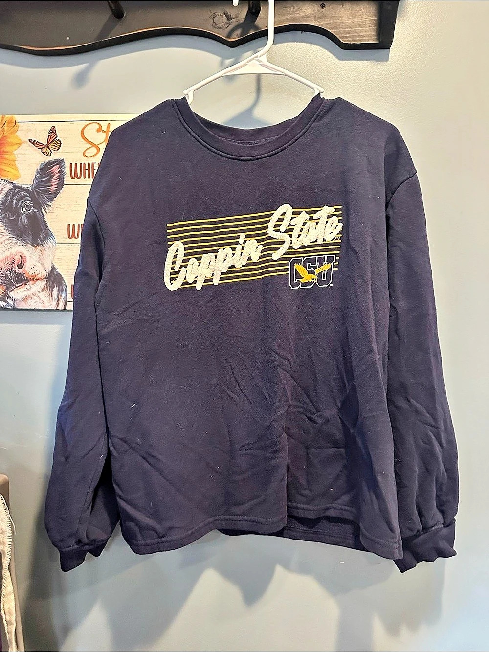 Champion Graphic Long Sleeve Shirt L